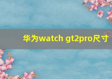 华为watch gt2pro尺寸